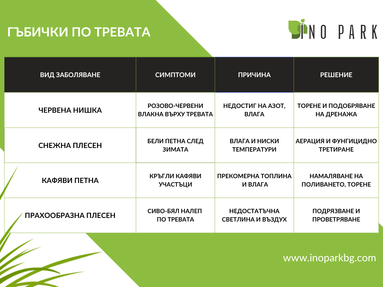 Таблица: Гъбички по тревата