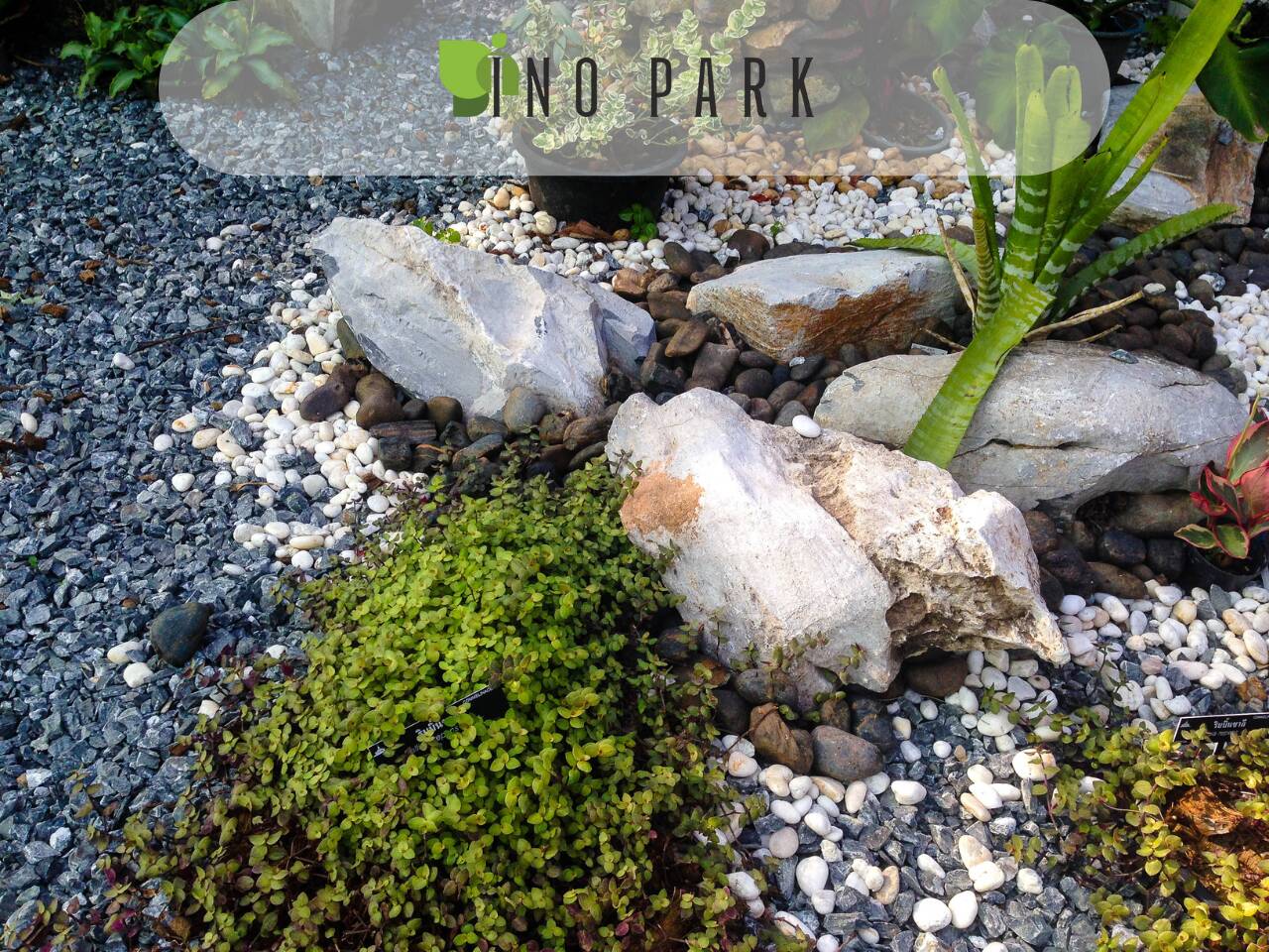 Алпинеуми и скални кътчета