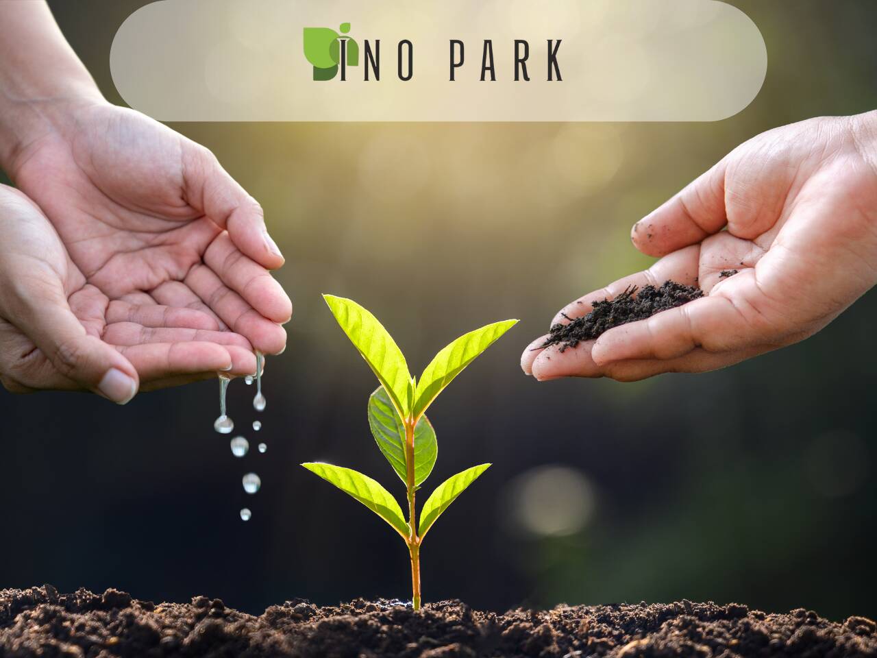 Почвени субстрати – ключът към дълготрайното озеленяване