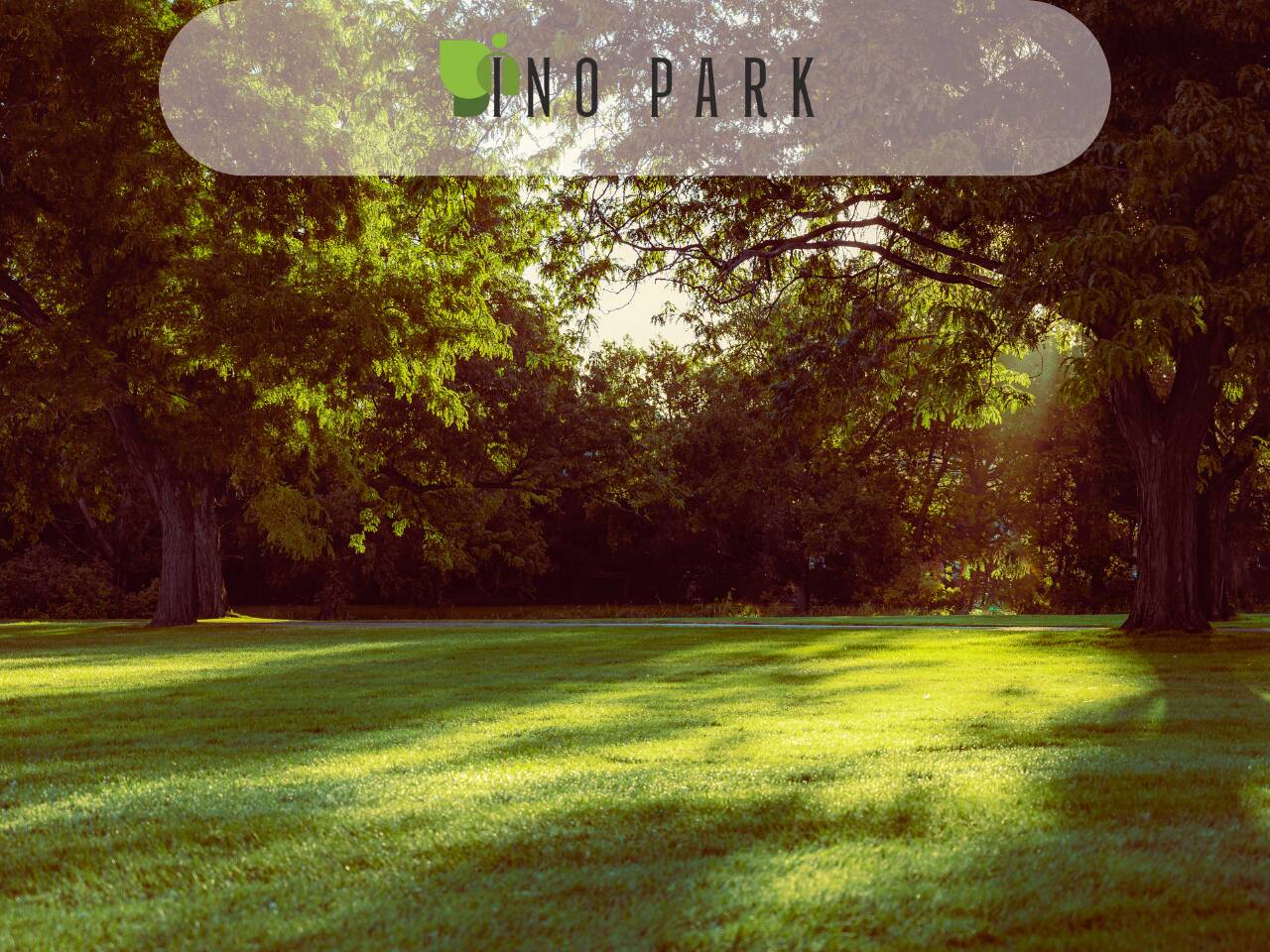 Подготовка на градината за пролетта