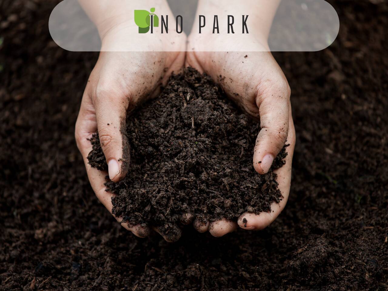 Как да изберем правилна почва?