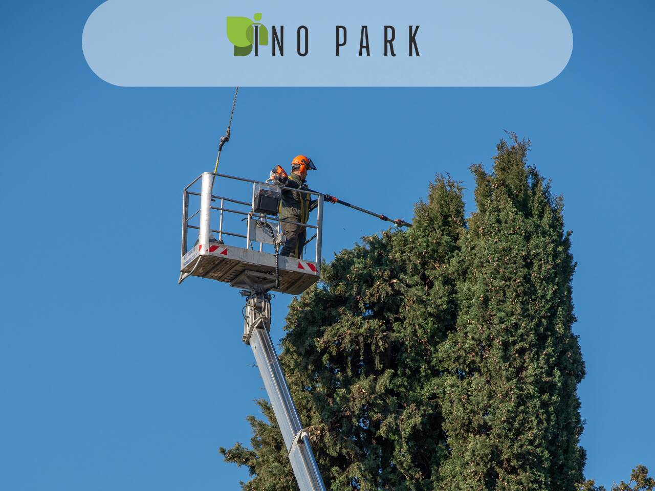 Резитба на високи дървета