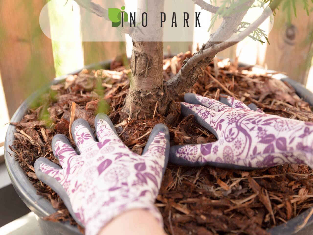 Мулчиране на градината