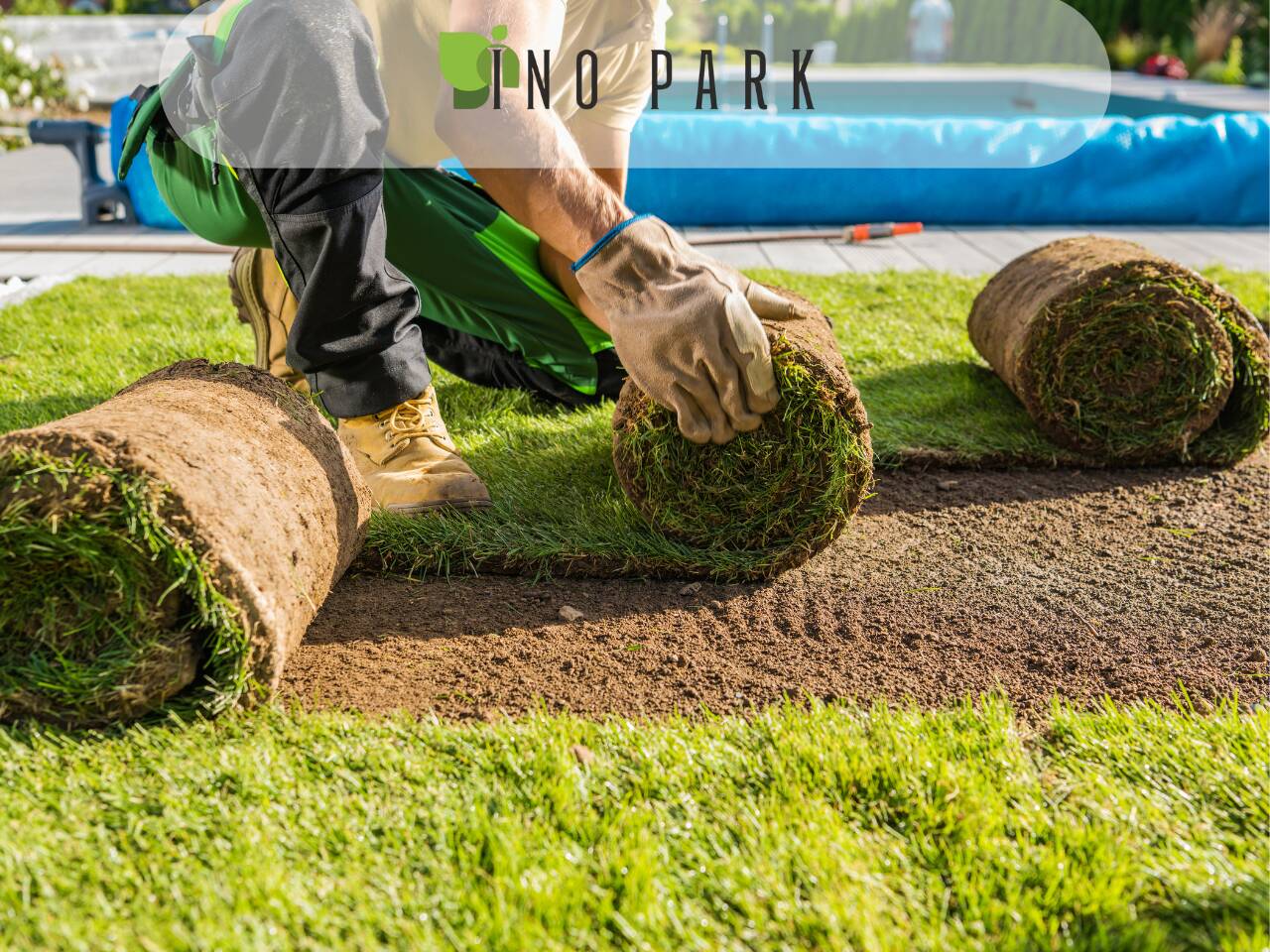 Laying of grass