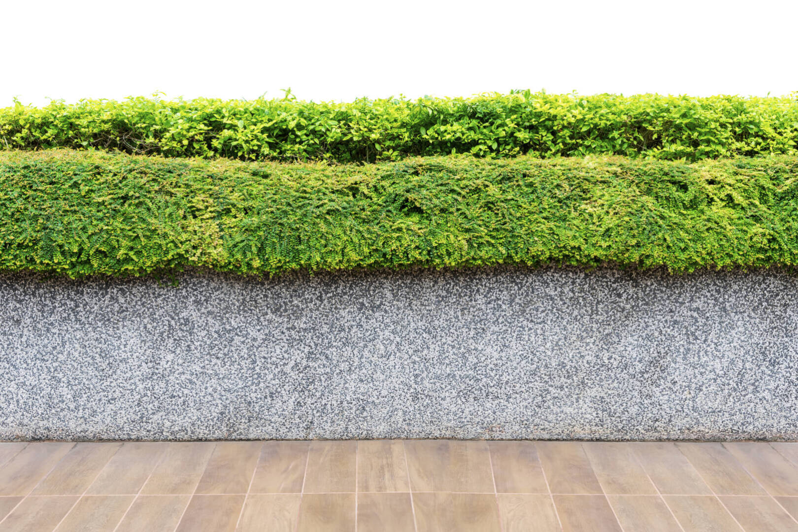Isolated of set of floor, concrete wall and green plant. Use for decorate in garden or park outdoor.